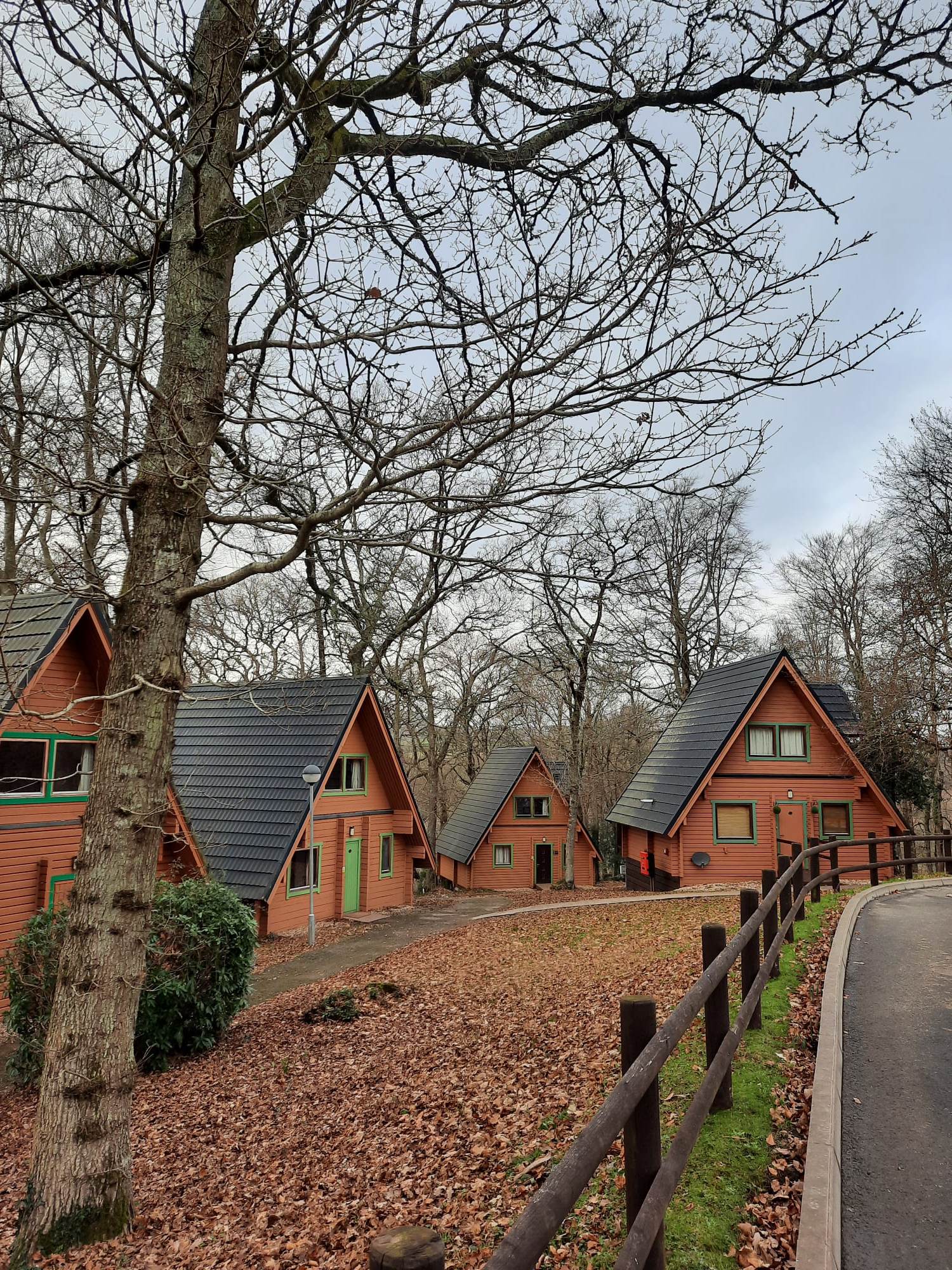 Finlake Resort A-frame accommodation in woodland